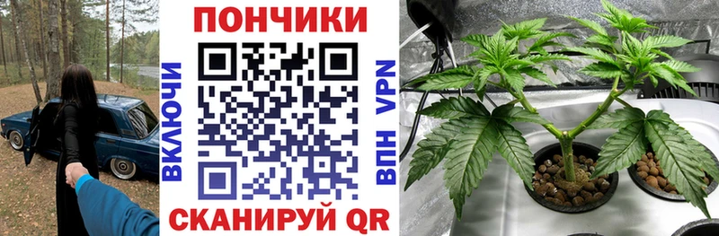 Сколько стоит Саранск ГАШИШ Канабис COCAIN A-PVP MEGA зеркало МЕФ