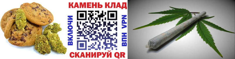 наркотики  Саранск  Еда ТГК конопля 