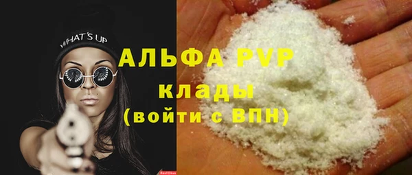 стаф Алзамай