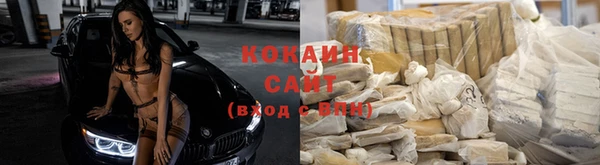 стаф Алзамай
