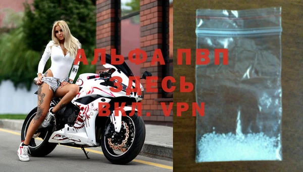 спиды Абаза