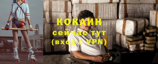 дурь Пересвет